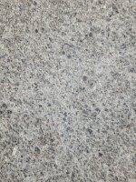 20260210_080718.jpg