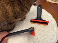 IMG_7582.jpeg