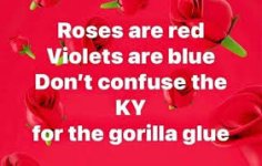 IMG_6965.jpeg