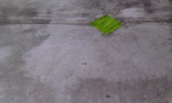 10IMAG1536.jpg