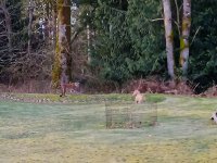 2026-02-20+Steve+French+enhance.jpg 2026-02-20+Steve+French+enhance.jpg