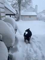 IMG_3588.jpeg