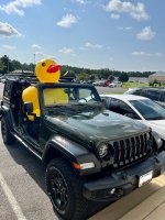 Pats duck.jpg