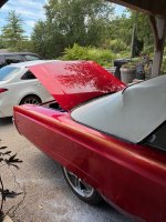 IMG_7372.jpeg