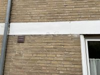 IMG_9663.jpeg