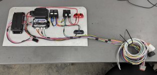 fb2b1330-934c-4044-9109-0160dfa96354 (2).jpg