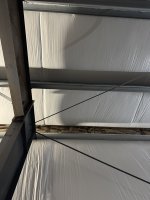 IMG_4988.jpeg