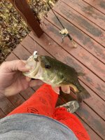 IMG_9963.jpeg