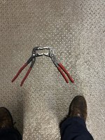 IMG_2186.jpeg