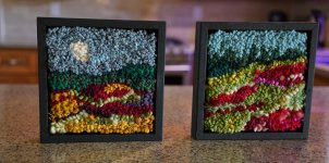 Tiny Rugs.jpeg
