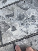 patio 4.jpg