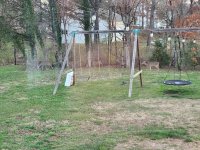 20260307_072813.jpg