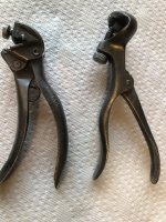 IMG_6624.jpeg IMG_6624.jpeg