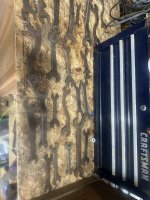 IMG_4585.jpeg