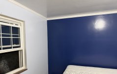 IMG_2222.jpeg