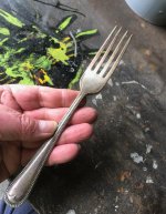 IMG_1847.jpeg