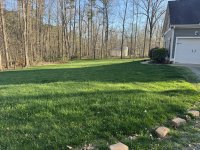 IMG_2542.JPEG