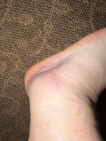 IMG_2246.jpeg