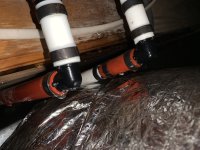 IMG_5411.JPEG