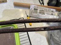 IMG_0255.JPEG