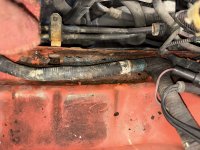 IMG_0422.JPEG