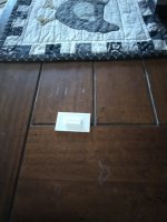 IMG_20260311_132934.jpg
