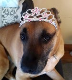 Rosie.jpg