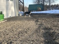 IMG_4297.jpeg IMG_4297.jpeg