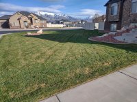 lawn2.jpg