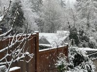 IMG_0668.jpeg