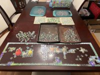 IMG_0666.jpeg