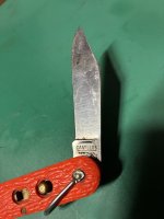 IMG_3666.jpeg