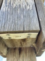 IMG_2964.jpeg IMG_2964.jpeg