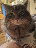 IMG_5804.jpeg