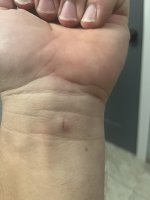 IMG_5957.jpeg
