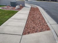 yard8.jpg