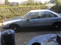 IMG_2218.jpeg