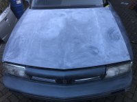 IMG_2234.jpeg