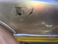 IMG_2283.jpeg