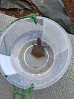Post #527 - Photo No. 1.jpg