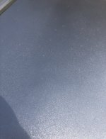 IMG_2334.jpeg