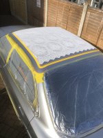 IMG_2350.jpeg