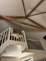 IMG_2081.jpeg IMG_2081.jpeg
