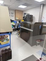 IMG_2237.jpeg