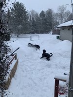 IMG_5640.jpeg