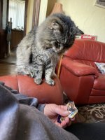 IMG_6099.jpeg