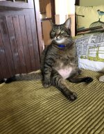 IMG_6059.jpeg