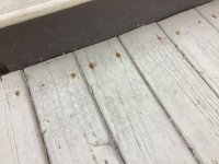 IMG_1863.jpeg