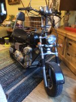 IMG_2781.jpeg