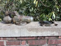 IMG_3197.jpeg